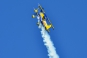 Pitts 12S